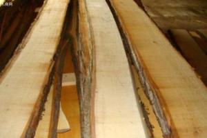 椴木鋸材價(jià)格行情_(kāi)2022年2月16日