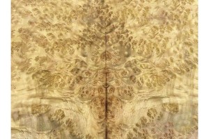 山西太原直銷山香果樹(shù)榴香柏樹(shù)榴 樹(shù)榴飾面板木皮