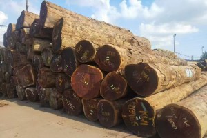 古建專用菠蘿格原木木材批發(fā)