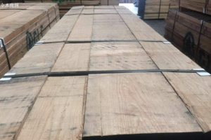 北美紅橡價(jià)格行情分析報(bào)告