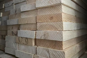 最近俄羅斯樟子松的行情