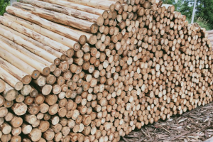 求購(gòu):4.2m9公分杉木檁條