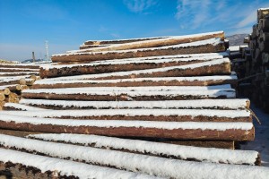 定制東北楊木工程板,包裝箱,托盤(pán)料生產(chǎn)廠家