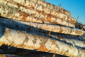 定制東北樺木工程板,包裝箱,托盤(pán)料生產(chǎn)廠家