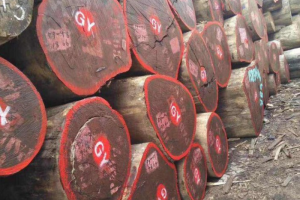 求購(gòu)：紅花梨原木